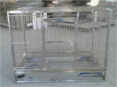專業(yè)寵物籠工廠 打造高品質(zhì)不銹鋼鳥籠與鸚鵡籠的卓越服務(wù)