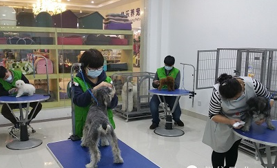 新開寵物店盈利關(guān)鍵 高效促銷寵物服務(wù)全攻略